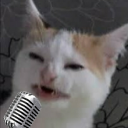 mutual server for sinfonnie