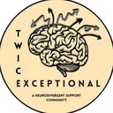 Twice-Exceptional at BYU