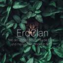  🪵 ErdClan  🪵  Discord Server Icon