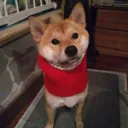 りりーはうす