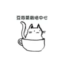 豆芽菜栽培中心