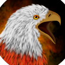 SpeedyFireEagle (Remastered)