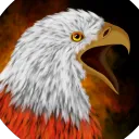 SpeedyFireEagle (Remastered)