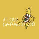 Flow Capacitor