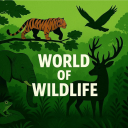 Discovery icon for World of Wildlife 🌲 Discord server