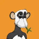 Bored Ape Binance Club