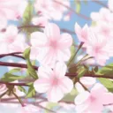 BLOOMING SANCTUARY
