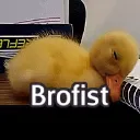 Brofist