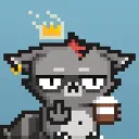 REBEL RACOONS