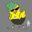 My Chick