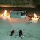 thugs asf (ง︡'-'︠)ง's icon