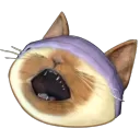 The Palicos Discord Server Icon