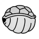 Terrapins