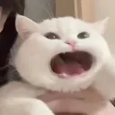 byo