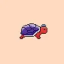 Party Turtles