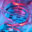 Genetic Counseling
