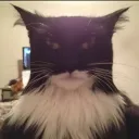 🦇SergioxArmy🦇