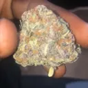 STONER CHAT