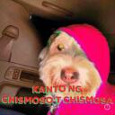 Kanto ng mga Chismoso't Chismosa Discord Server Icon