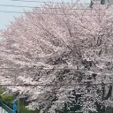 🔥面接会場🔥