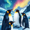 Aurora Kingdom
