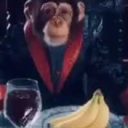 𝓣𝓱𝓮 𝓓𝓪𝓼𝓱𝓲𝓷𝓰 𝓑𝓪𝓷𝓪𝓷𝓪