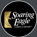 Soaring Eagle Hotel