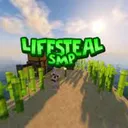 Backup SnitchLifesteal Smp Season 2