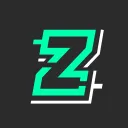 The Z Institute