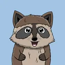Charming Raccoons