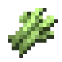 CaneCraft