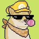 Doge Hodl NFT