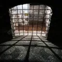 Observation Chamber Discord Server Icon