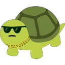 Turtle Gang