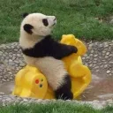 🎍panda server🎍