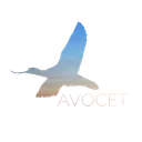 Avocet™