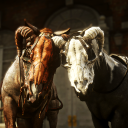 Red Dead Redemption FR avatar