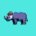 Crazy rhinos