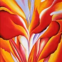 Women's Health Support