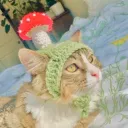 ⋆·˚ ༘ ᴀɴɢᴇʟ ᴄʟᴜʙ 🔭's icon