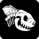 SleepySharkBeachClub