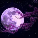 Lunar Cheats