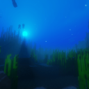 The Ocean