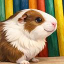 Guinea Pig Network