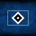 HSV Bubble