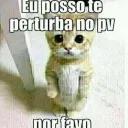 só os que tao quereno pica e nao tao sabeno pedir