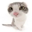 pu