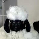 WTF