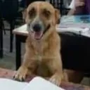 Servidor do rolomzito