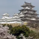Lady J Tokugawa